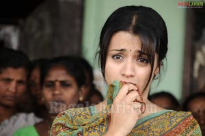 Trisha Photo Gallery