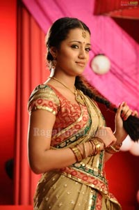 Trisha Photo Gallery