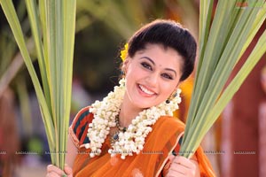 Taapsee