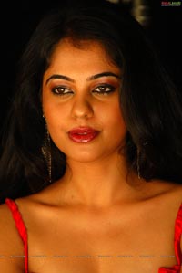 Bindu Madhavi