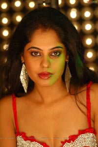 Bindu Madhavi