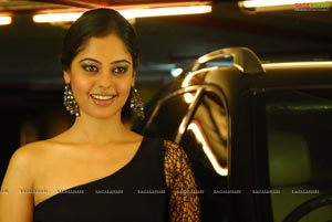 Bindu Madhavi