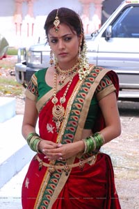 Nisha Agarwal