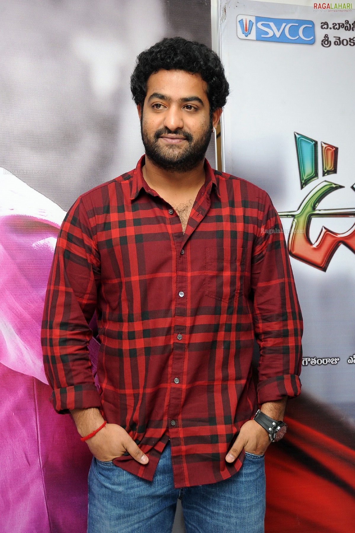 NTR with Beard at Oosaravelli Press Meet, HD Gallery, Images