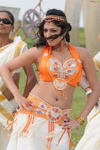 Hari Priya