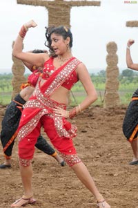 Hari Priya