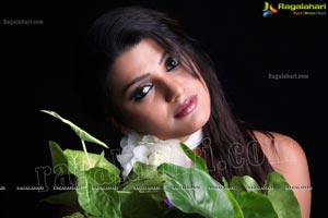 Tashu Kaushik Birthday Shoot