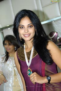 Bindu Madhavi in Saree Diyaash Exhibition