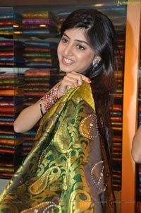 Poonam Kaur Sleeveless Saree