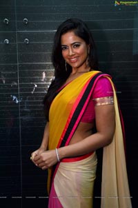 Sameera Reddy Yellow Pink Saree