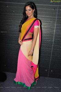 Sameera Reddy Yellow Pink Saree