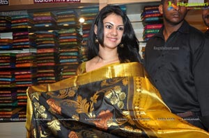 Kamna Jethmalani in Saree