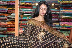 Kamna Jethmalani in Saree