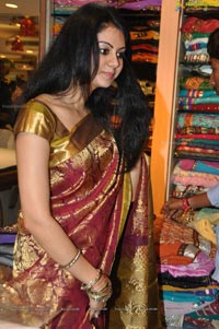 Kamna Jethmalani in Saree