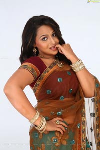 Divya Prabha Hot Saree Stills