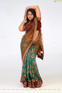 Divya Prabha Hot Saree Stills