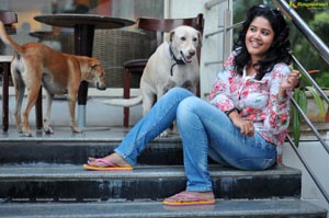 Soumya Bollapragada feeding Street Dogs