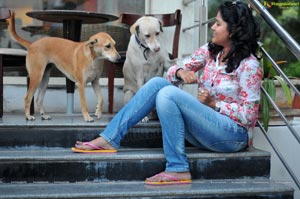 Soumya Bollapragada feeding Street Dogs