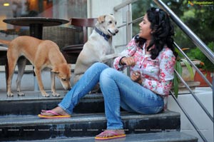 Soumya Bollapragada feeding Street Dogs