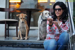 Soumya Bollapragada feeding Street Dogs