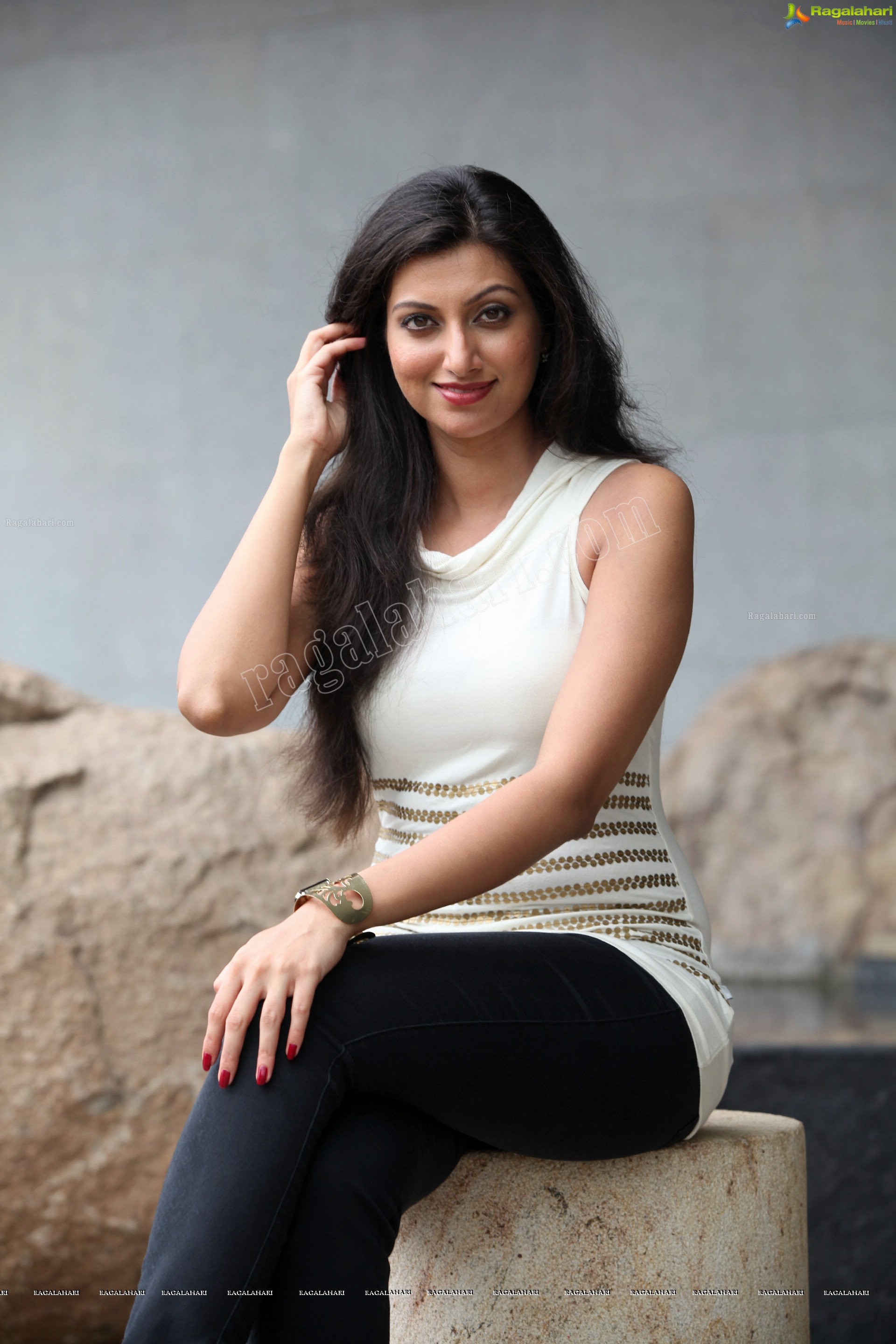 Hamsa Nandini (High Definition)