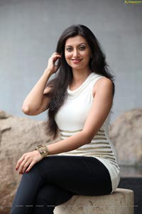 Hamsa Nandini HD Photos