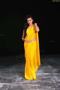 Neelam Upadhayaya in Yellow Saree