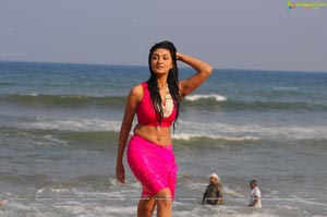 Neelam Upadhyaya Action 3D Beach Stills