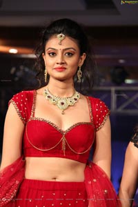 Nikitha Narayan Hot Photos