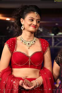 Nikitha Narayan Hot Photos