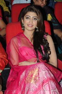 Pranitha Subhash at Attharintiki Daredhi Success Meet