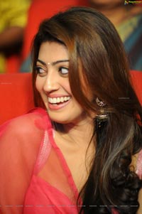 Pranitha Subhash at Attharintiki Daredhi Success Meet