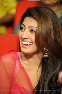 Pranitha Subhash at Attharintiki Daredhi Success Meet