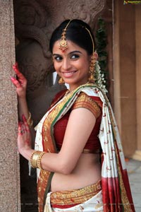 Sheena Shahabadi in Traditional Saree