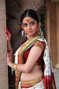 Sheena Shahabadi in Traditional Saree