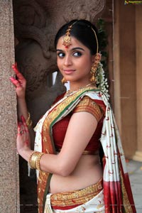 Sheena Shahabadi in Traditional Saree