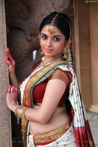 Sheena Shahabadi in Traditional Saree