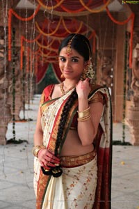 Sheena Shahabadi in Traditional Saree