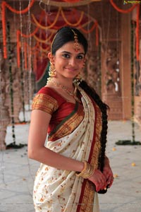 Sheena Shahabadi in Traditional Saree