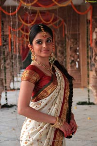 Sheena Shahabadi in Traditional Saree