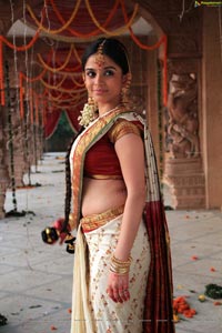 Sheena Shahabadi in Traditional Saree