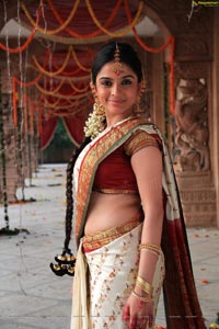 Sheena Shahabadi in Traditional Saree