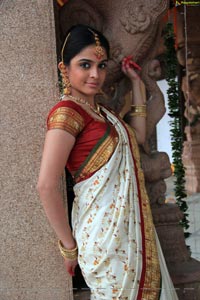 Sheena Shahabadi in Traditional Saree