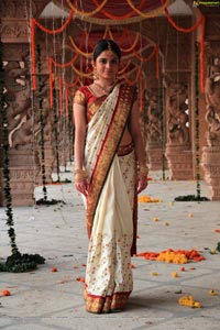 Sheena Shahabadi in Traditional Saree