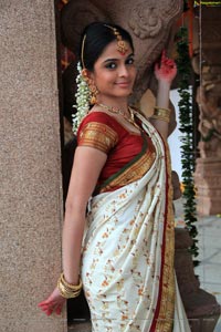 Sheena Shahabadi in Traditional Saree