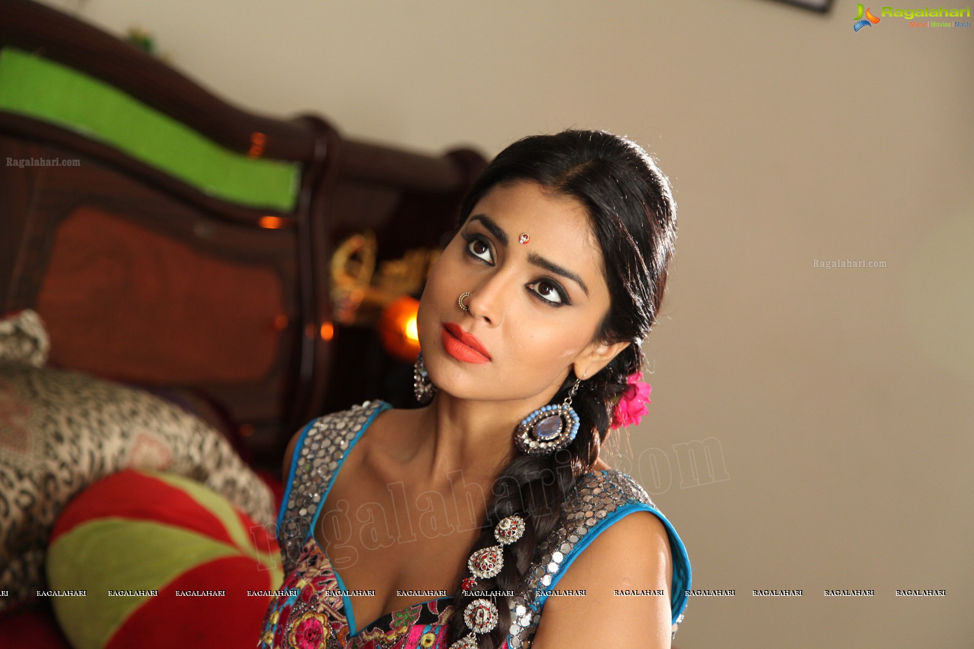 Shriya Saran (High Definition)