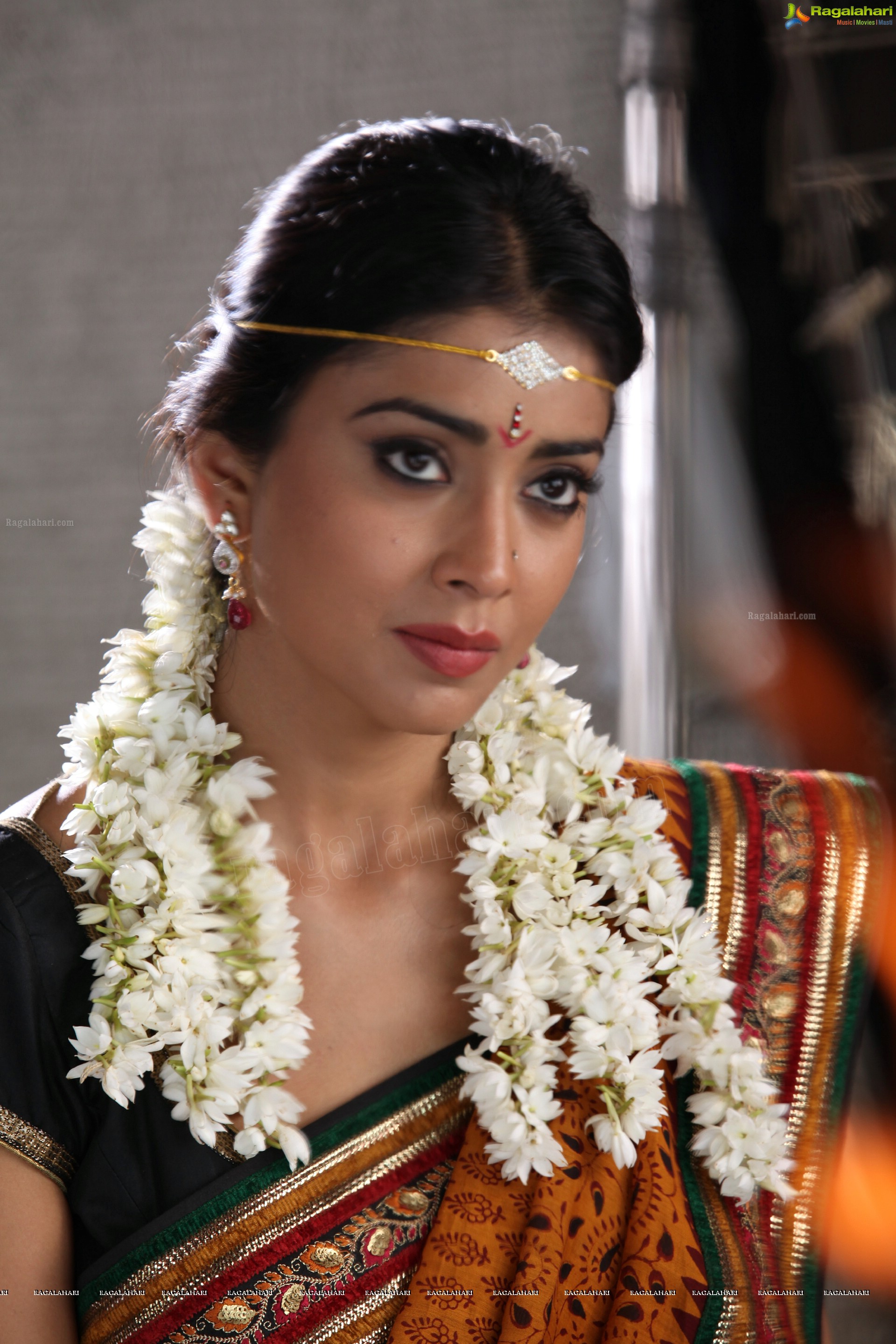 Shriya Saran (High Definition)