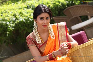 Shriya in Midnight Children