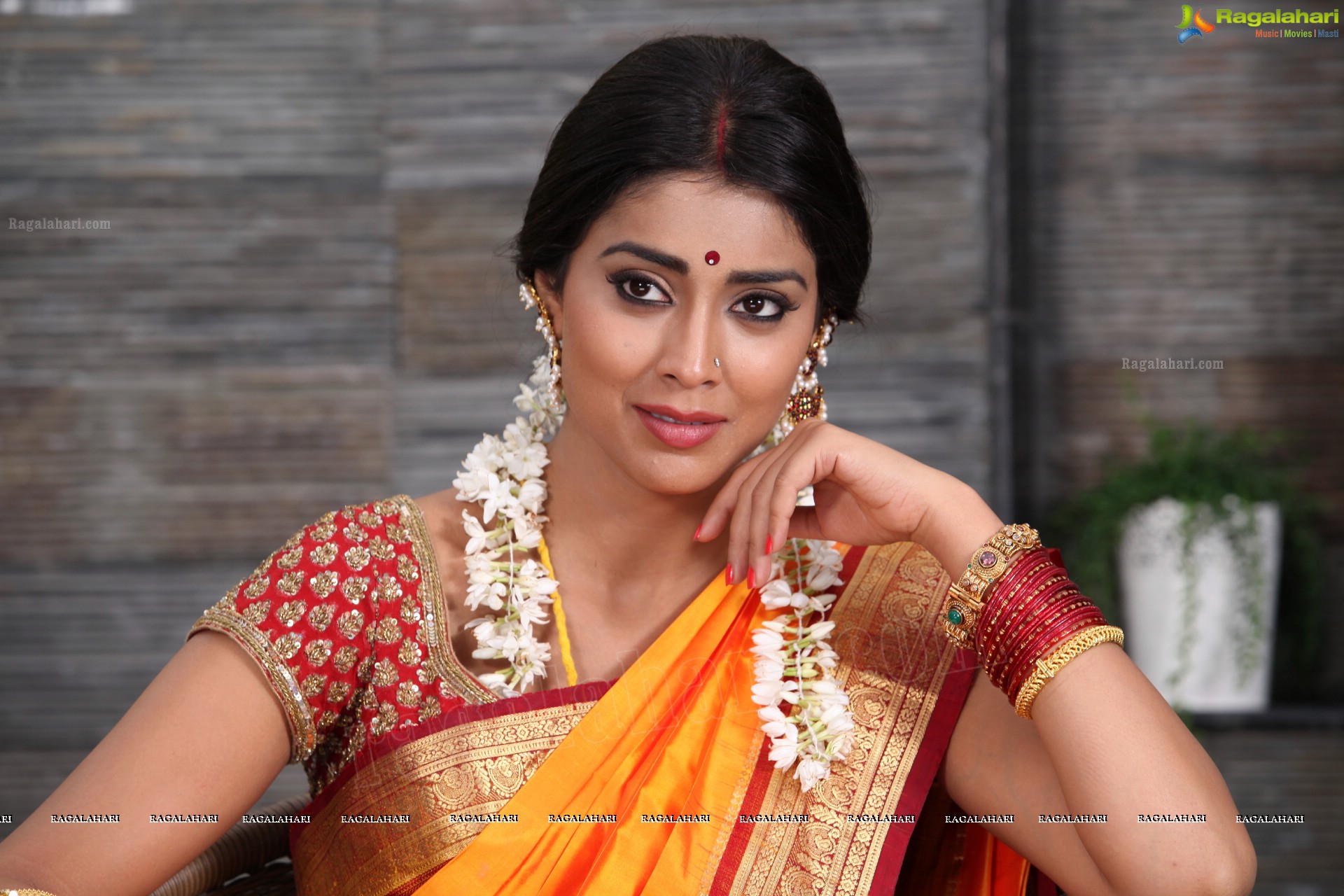 Shriya Saran (High Definition)