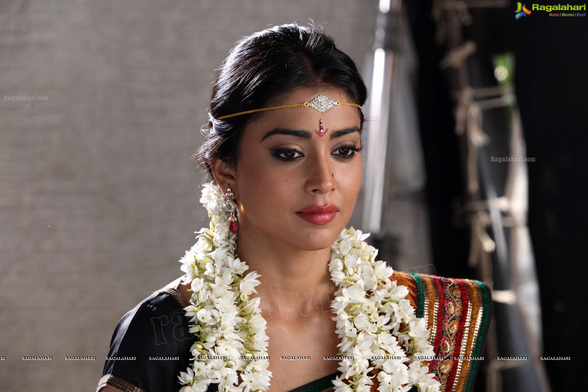 Shriya Saran (High Definition)